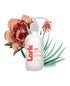 Lark Love Organic Personal Lubricant 4 fl oz